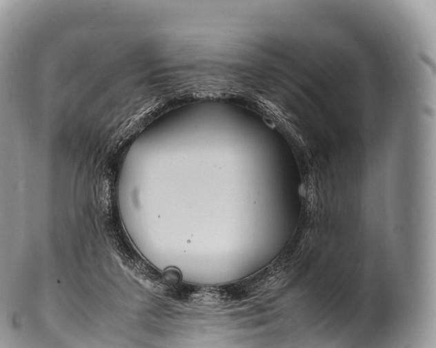 X0000100380211200806201658