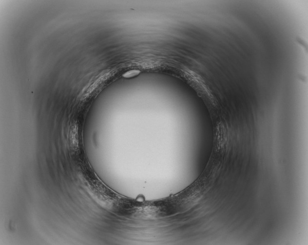 X0000100380212200806201658
