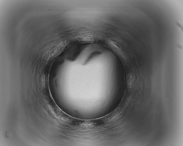 X0000100380213200806201658
