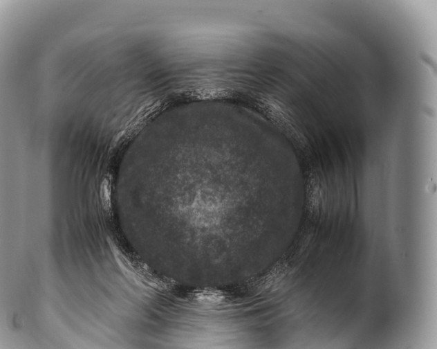 X0000100380214200806201658