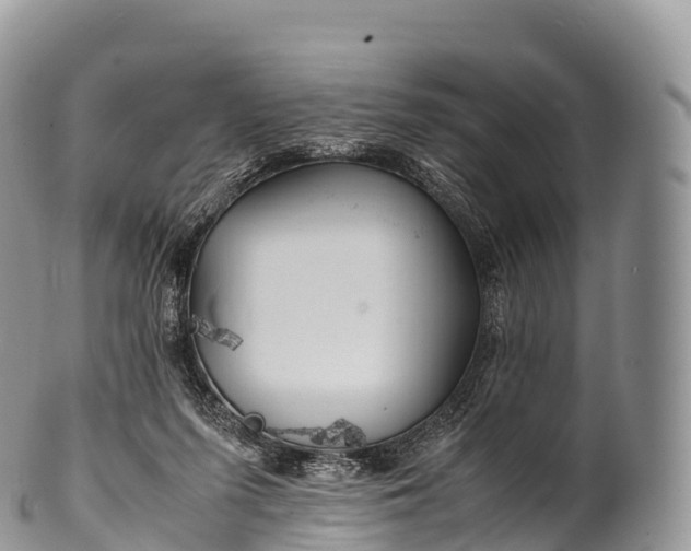 X0000100380215200806201658