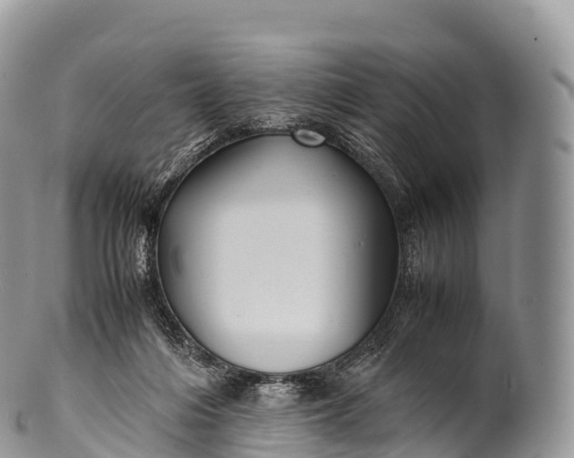 X0000100380216200806201658