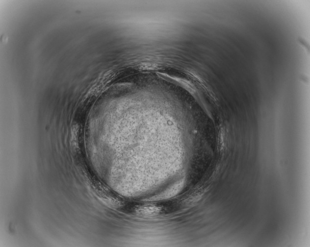 X0000100380217200806201658