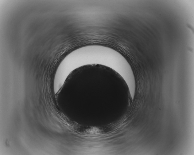 X0000100380219200806201658
