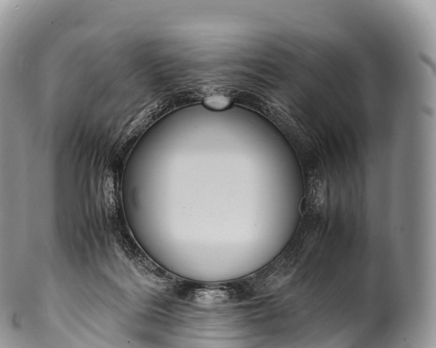 X0000100380220200806201658
