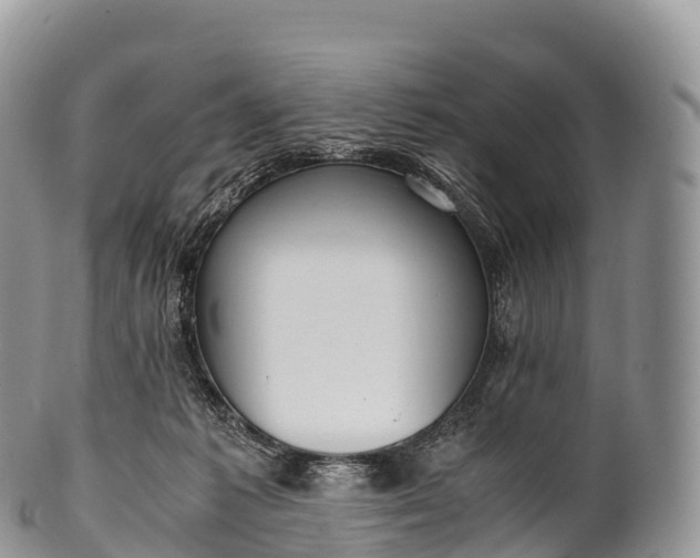 X0000100380221200806201658