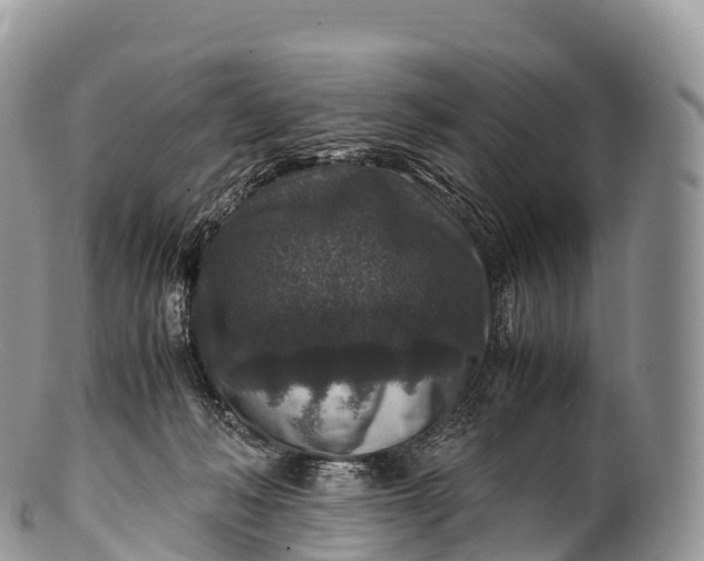 X0000100380222200806201658