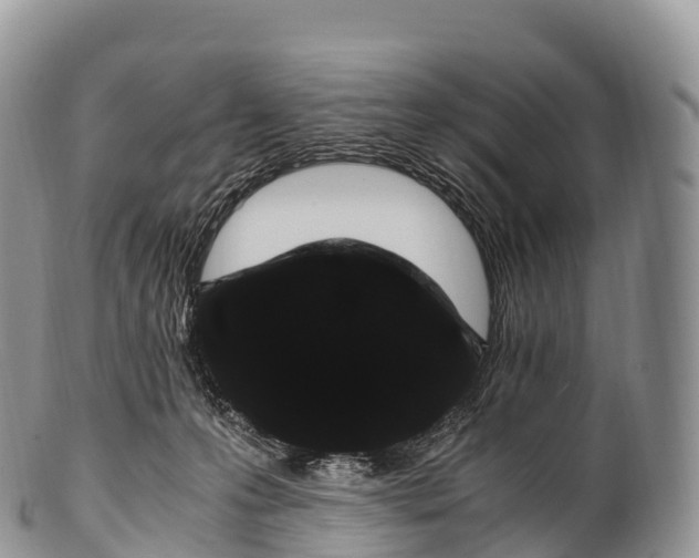 X0000100380223200806201658
