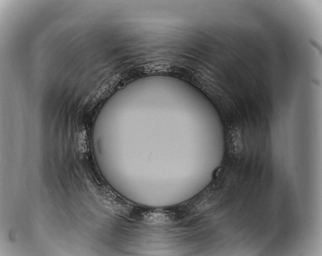 X0000100380224200806201658