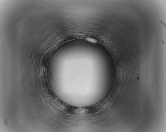 X0000100380225200806201658
