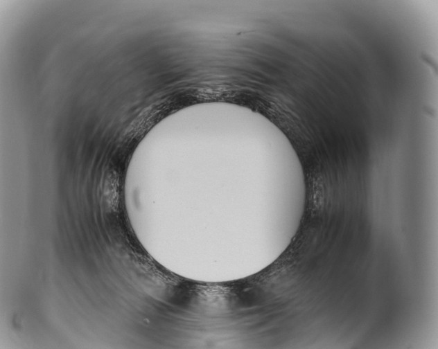 X0000100380226200806201658