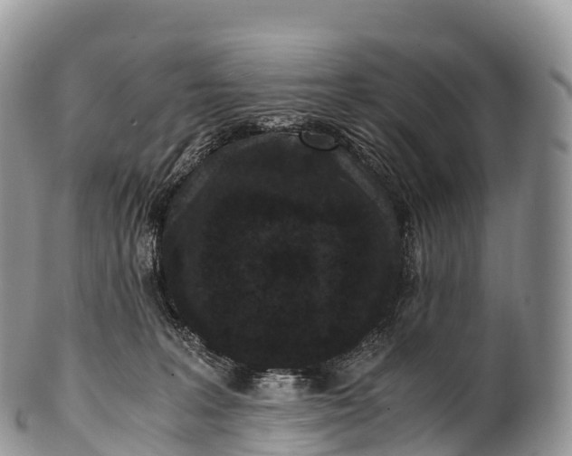 X0000100380227200806201658
