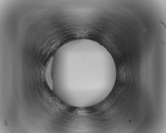 X0000100380228200806201658