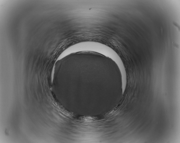 X0000100380229200806201658