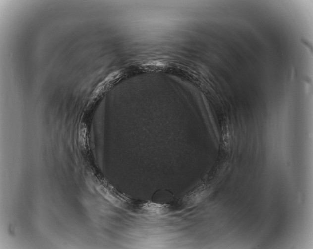 X0000100380231200806201658
