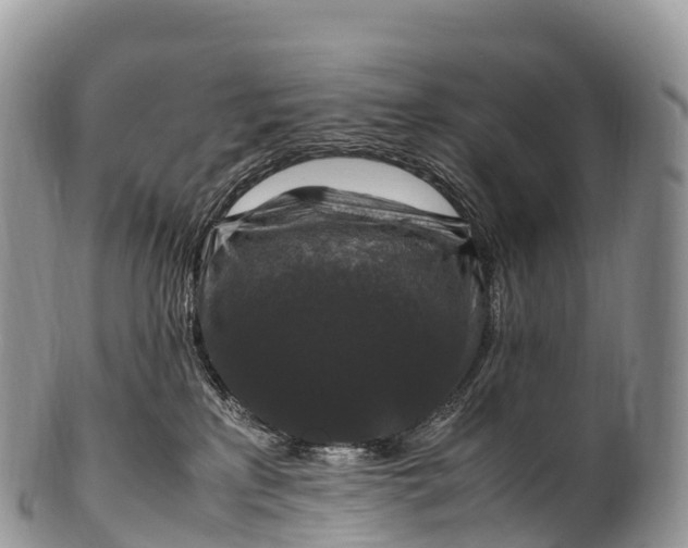 X0000100380233200806201658