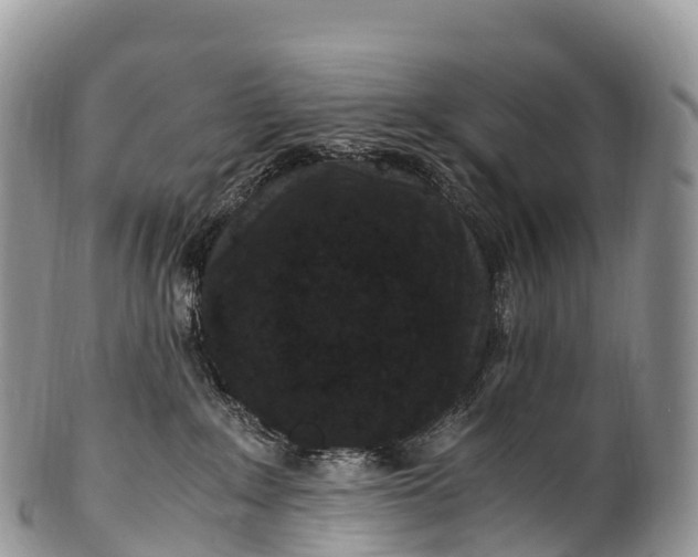 X0000100380235200806201658