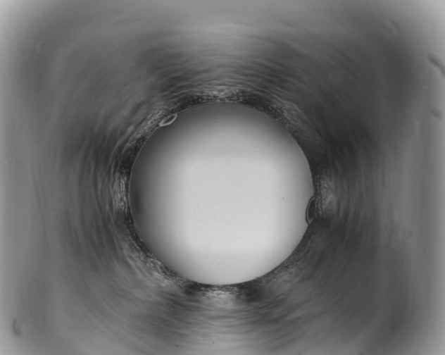X0000100380236200806201658