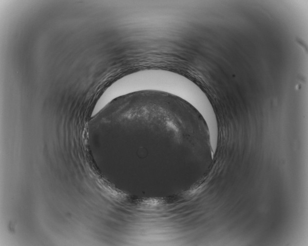X0000100380237200806201658