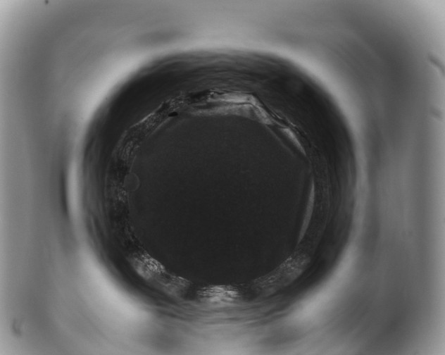 X0000100380239200806201658