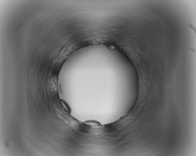 X0000100380240200806201658