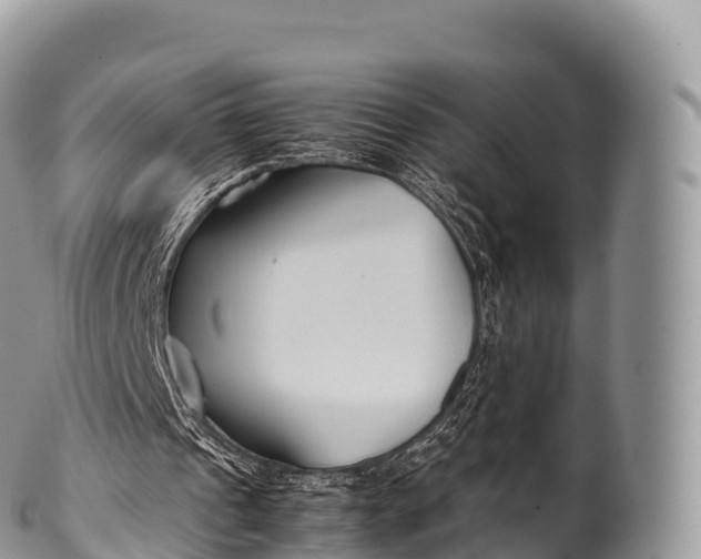 X0000100380241200806201657