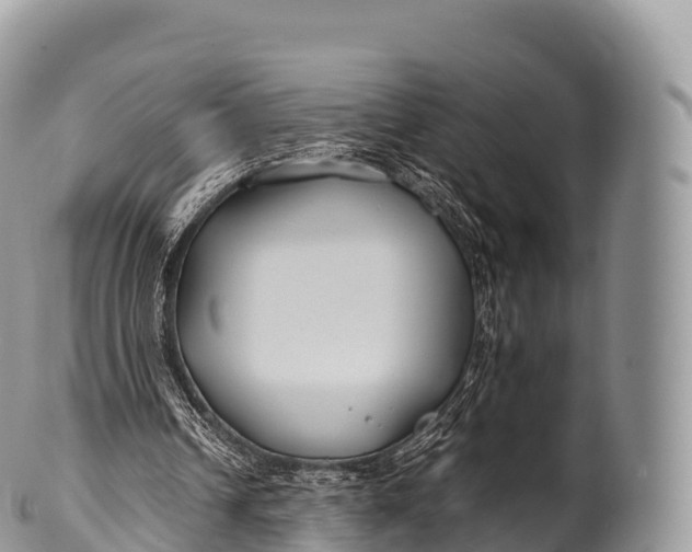 X0000100380242200806201657