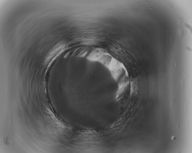 X0000100380243200806201657