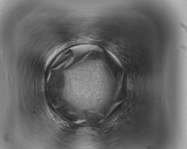 X0000100380244200806201657