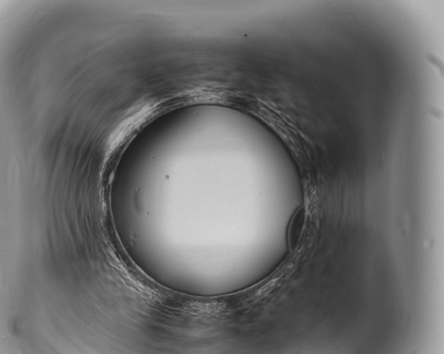 X0000100380245200806201657