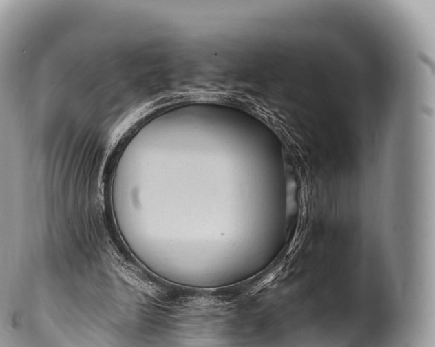 X0000100380246200806201657