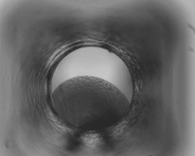 X0000100380247200806201657