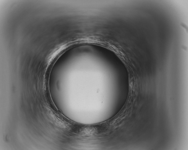 X0000100380248200806201657