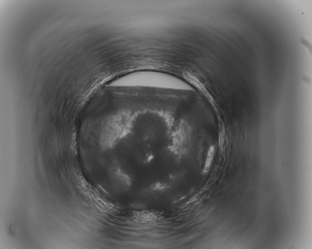 X0000100380249200806201657