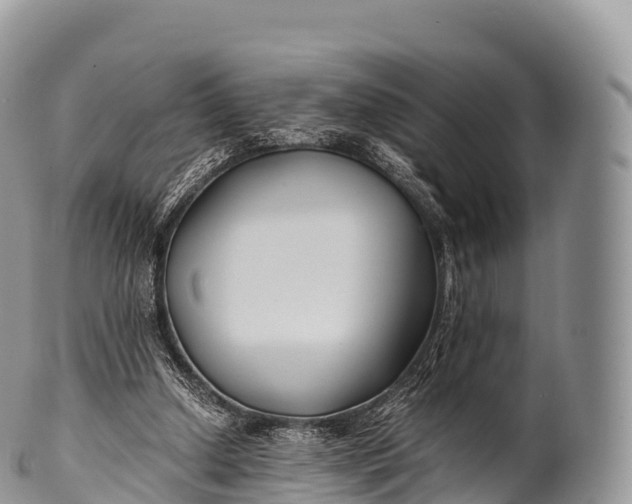 X0000100380250200806201657