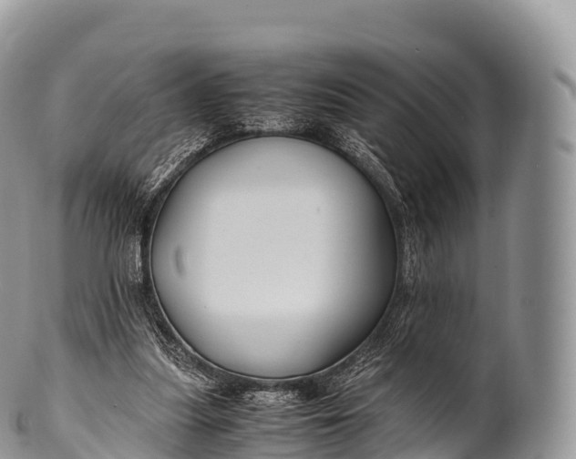 X0000100380251200806201657