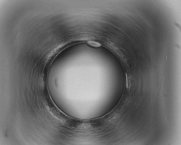 X0000100380252200806201657