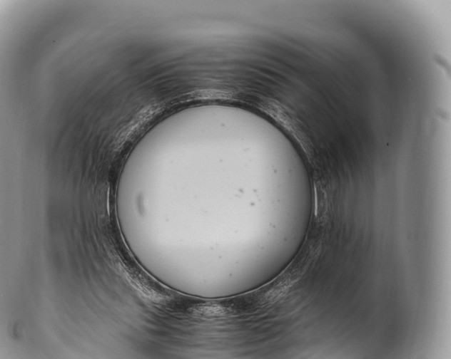 X0000100380253200806201657