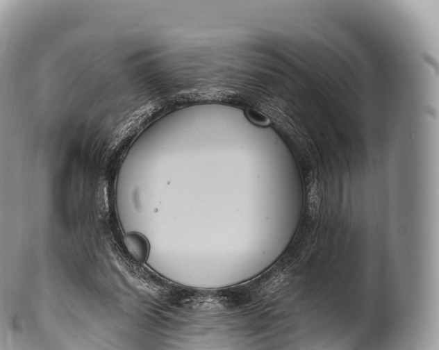 X0000100380254200806201657