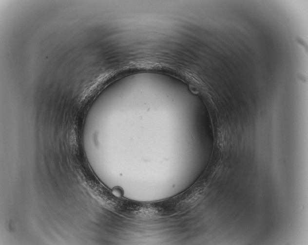 X0000100380256200806201657