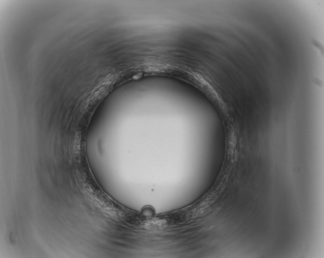 X0000100380257200806201657