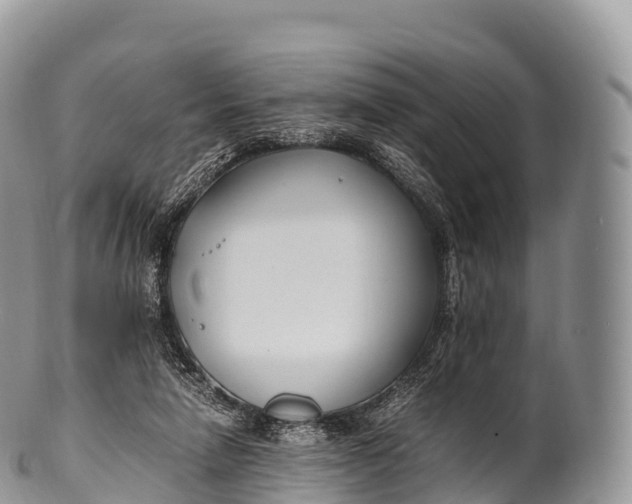 X0000100380258200806201657