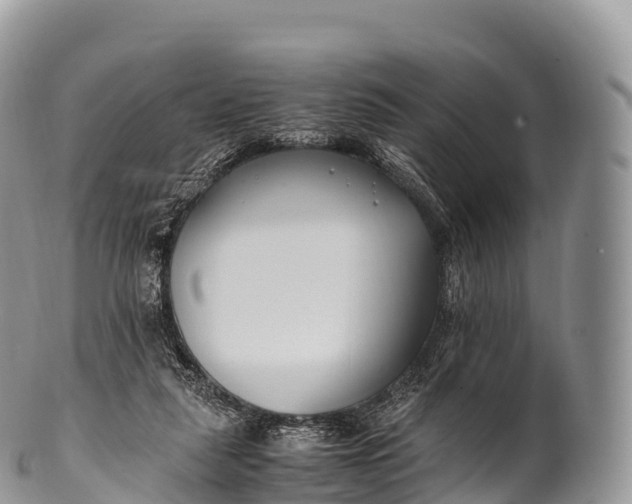X0000100380259200806201657