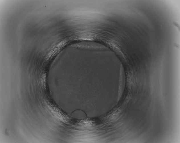 X0000100380260200806201657