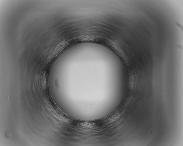 X0000100380261200806201657
