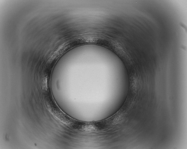 X0000100380262200806201657