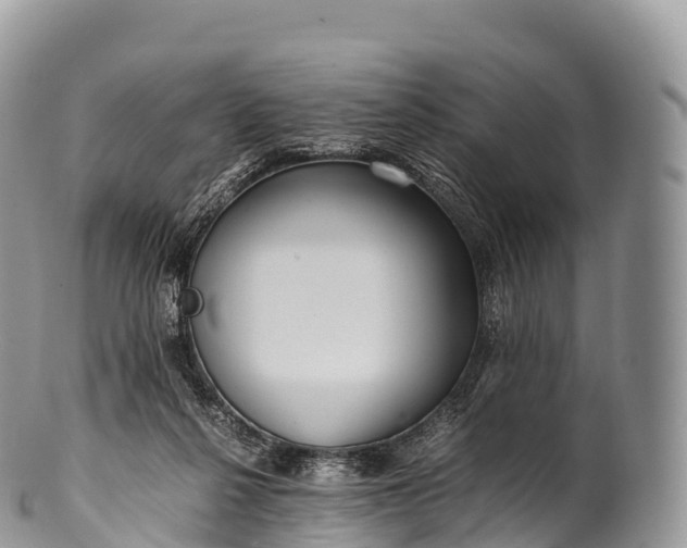 X0000100380264200806201657