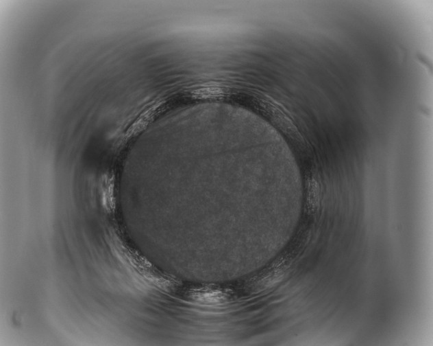 X0000100380267200806201657