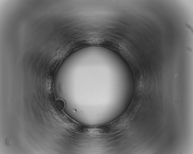 X0000100380268200806201657