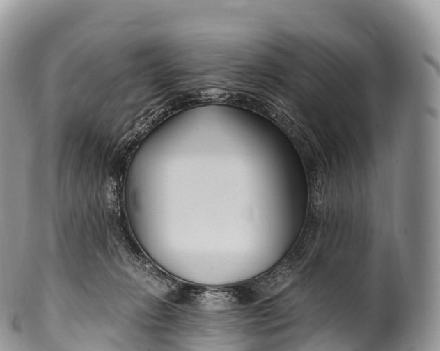 X0000100380270200806201657